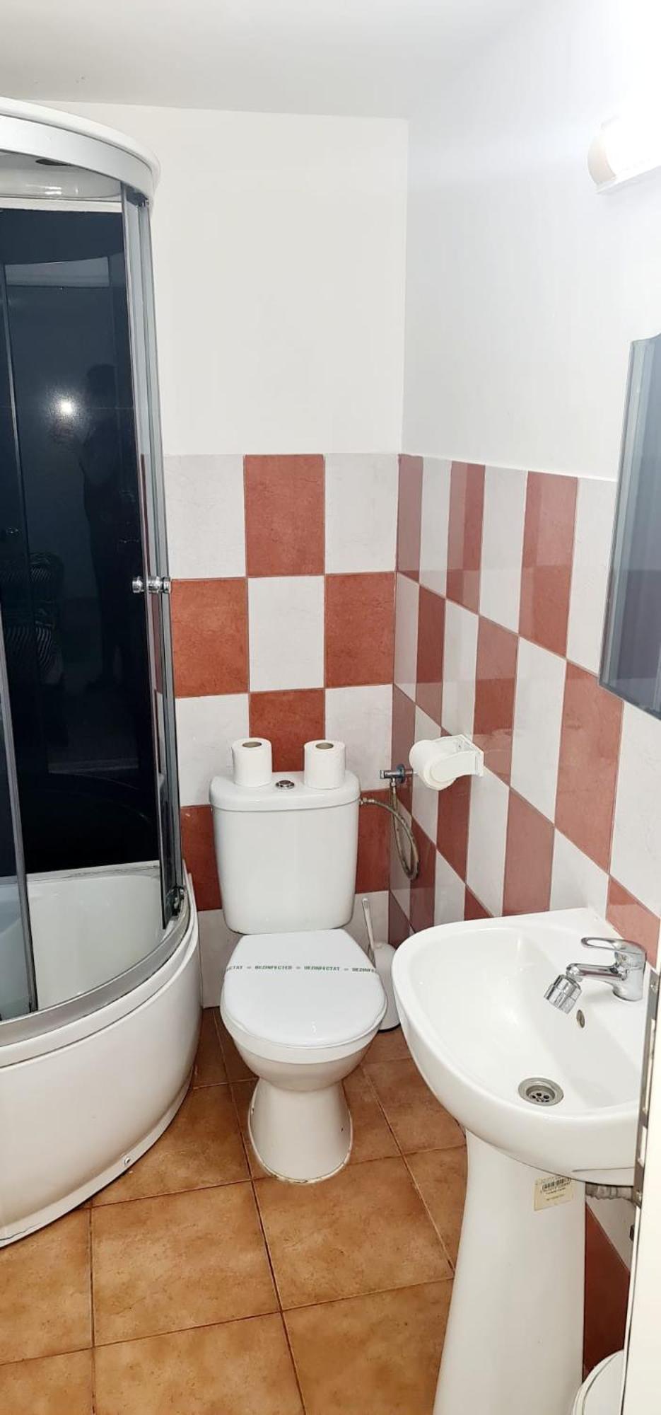 Pensiunea Red Rose Apartments Timişoara Eksteriør billede
