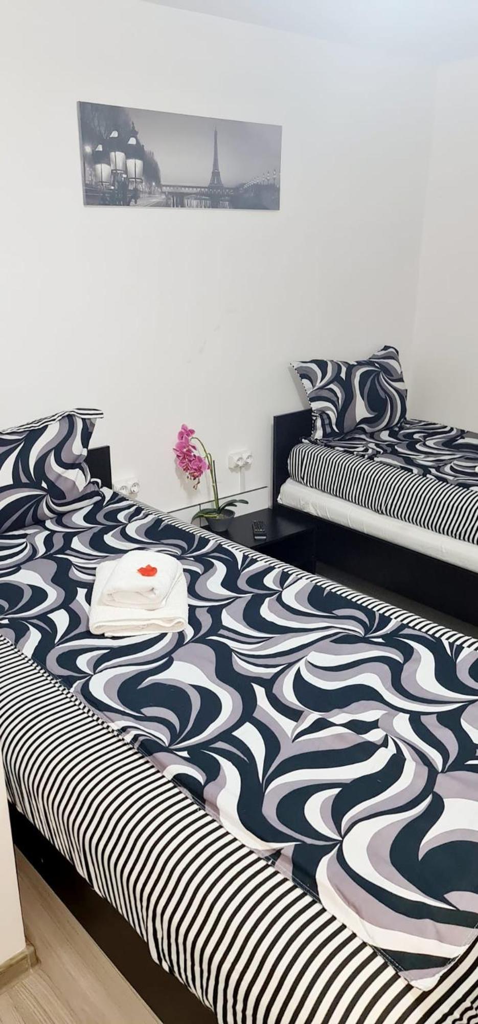 Pensiunea Red Rose Apartments Timişoara Eksteriør billede