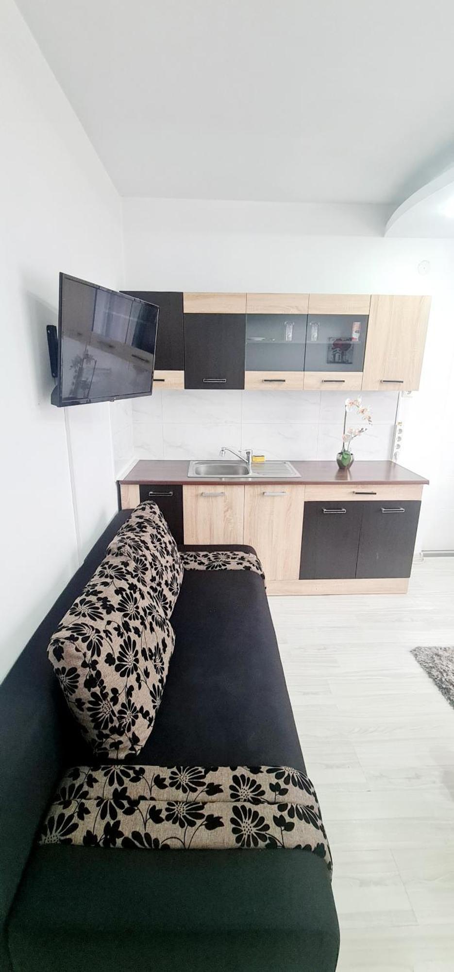 Pensiunea Red Rose Apartments Timişoara Eksteriør billede