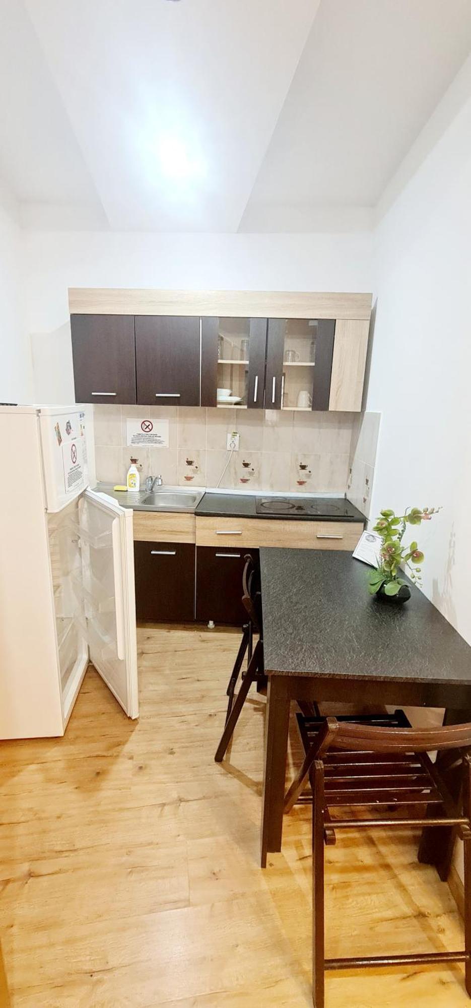 Pensiunea Red Rose Apartments Timişoara Eksteriør billede