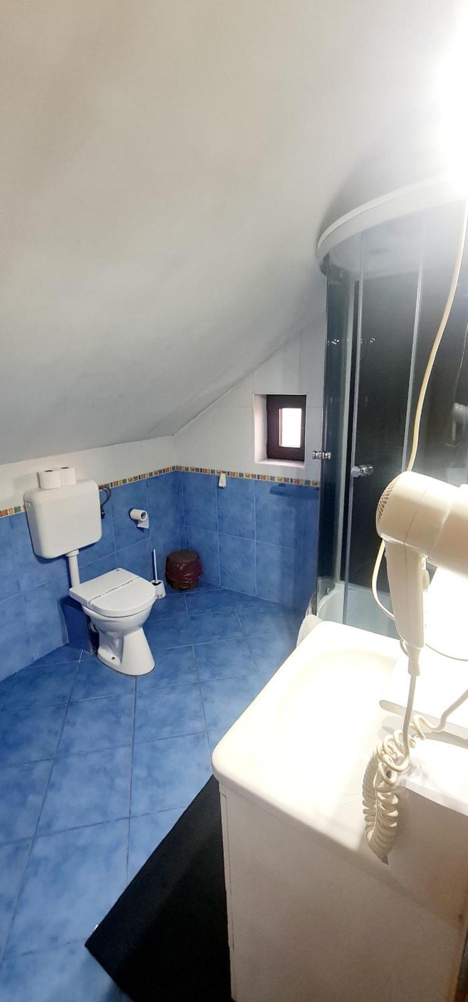 Pensiunea Red Rose Apartments Timişoara Eksteriør billede